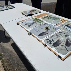 Atelier – Cyanotype avec Julien Vasseur